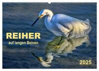 Reiher - auf langen Beinen (Wandkalender 2025 DIN A2 quer), CALVENDO Monatskalender