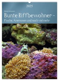 Bunte Riffbewohner - Fische, Anemonen und noch viel mehr (Wandkalender 2025 DIN A2 hoch), CALVENDO Monatskalender