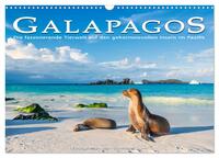 Die faszinierende Tierwelt der Galapagos-Inseln (Wandkalender 2025 DIN A3 quer), CALVENDO Monatskalender