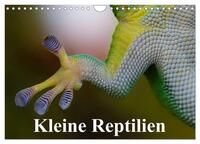 Kleine Reptilien (Wandkalender 2025 DIN A4 quer), CALVENDO Monatskalender