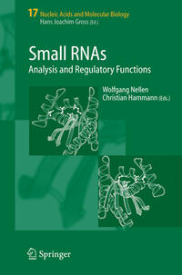 Small RNAs: