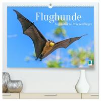 Flughunde: Vegetarische Drachenflieger (hochwertiger Premium Wandkalender 2025 DIN A2 quer), Kunstdruck in Hochglanz