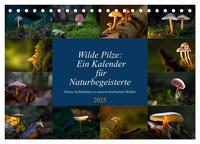 Wilde Pilze: Ein Kalender für Naturbegeisterte (Tischkalender 2025 DIN A5 quer), CALVENDO Monatskalender