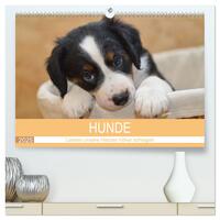 HUNDE - Lassen unsere Herzen höher schlagen (hochwertiger Premium Wandkalender 2025 DIN A2 quer), Kunstdruck in Hochglanz