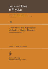 Geometrical and Topological Methods in Gauge Theories