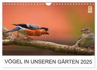 Vögel in unseren Gärten 2025 (Wandkalender 2025 DIN A4 quer), CALVENDO Monatskalender