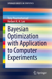 Bayesian Optimization with Application to Computer Experiments