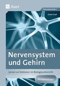 Nervensystem und Gehirn