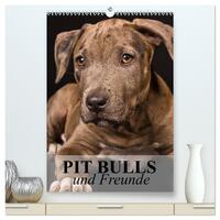 Pit Bulls und Freunde (hochwertiger Premium Wandkalender 2025 DIN A2 hoch), Kunstdruck in Hochglanz