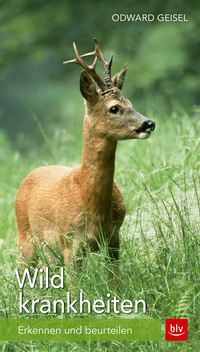 Wildkrankheiten