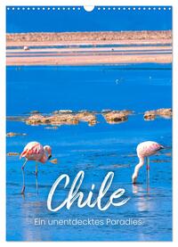 Chile - Ein unentdecktes Paradies. (Wandkalender 2025 DIN A3 hoch), CALVENDO Monatskalender