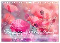 Bezaubernde Mohnblumen (Wandkalender 2025 DIN A4 quer), CALVENDO Monatskalender