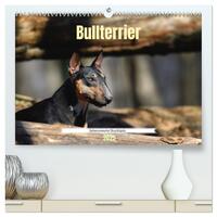 Bullterrier, liebenswerte Sturköpfe (hochwertiger Premium Wandkalender 2025 DIN A2 quer), Kunstdruck in Hochglanz