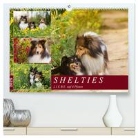 SHELTIES Liebe auf 4 Pfoten (hochwertiger Premium Wandkalender 2025 DIN A2 quer), Kunstdruck in Hochglanz