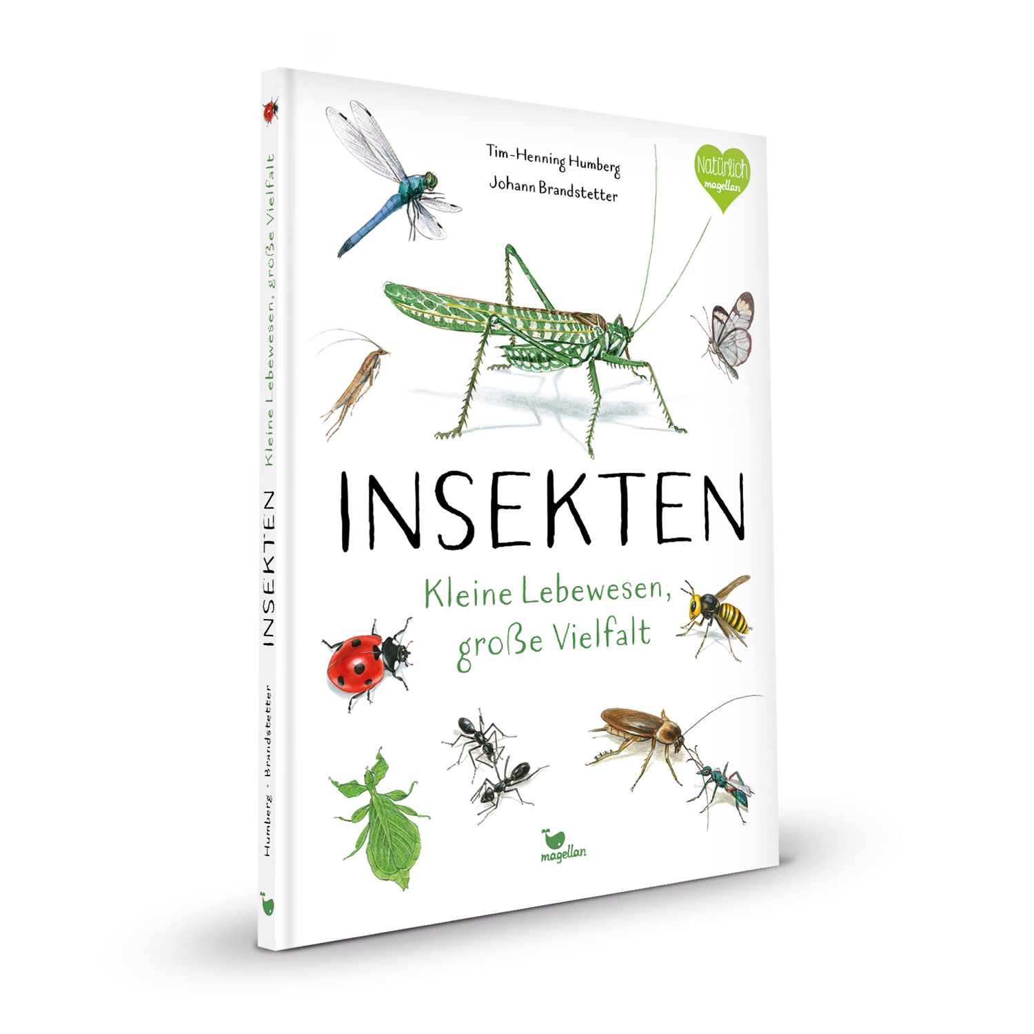 Insekten - Kleine Lebewesen, große Vielfalt