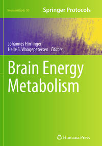 Brain Energy Metabolism