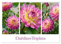 Dahlien-Triplets (Wandkalender 2025 DIN A3 quer), CALVENDO Monatskalender