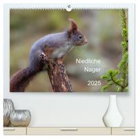 Niedliche Nager (hochwertiger Premium Wandkalender 2025 DIN A2 quer), Kunstdruck in Hochglanz