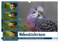 Wellensittichträume - Der neue Wellensittich-Naturkalender (Wandkalender 2025 DIN A3 quer), CALVENDO Monatskalender