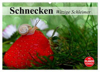 Schnecken. Witzige Schleimer (Wandkalender 2025 DIN A2 quer), CALVENDO Monatskalender