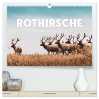 Rothirsche - Die imposanten Könige der Wälder. (hochwertiger Premium Wandkalender 2025 DIN A2 quer), Kunstdruck in Hochglanz