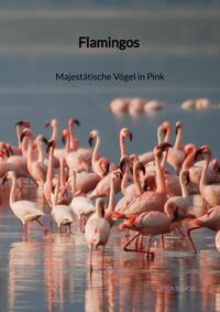 Flamingos - Majestätische Vögel in Pink