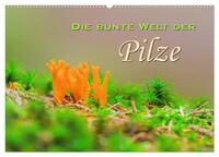 Die bunte Welt der Pilze (Wandkalender 2025 DIN A2 quer), CALVENDO Monatskalender