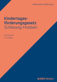 Kindertagesförderungsgesetz Schleswig-Holstein