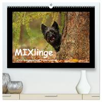 MIXlinge (hochwertiger Premium Wandkalender 2025 DIN A2 quer), Kunstdruck in Hochglanz