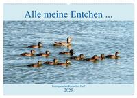 Alle meine Entchen ... Entenparadies Kurisches Haff (Wandkalender 2025 DIN A2 quer), CALVENDO Monatskalender