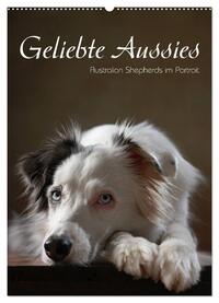 Geliebte Aussies - Australian Shepherds im Portrait (Wandkalender 2025 DIN A2 hoch), CALVENDO Monatskalender