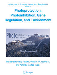 Photoprotection, Photoinhibition, Gene Regulation, and Environment