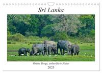 Sri Lanka, Grüne Berge - unberührte Natur (Wandkalender 2025 DIN A4 quer), CALVENDO Monatskalender