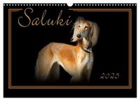 Saluki 2025 (Wandkalender 2025 DIN A3 quer), CALVENDO Monatskalender