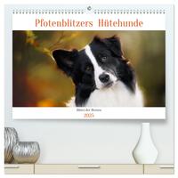 Pfotenblitzers Hütehunde - Hüter der Herzen (hochwertiger Premium Wandkalender 2025 DIN A2 quer), Kunstdruck in Hochglanz