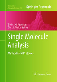 Single Molecule Analysis