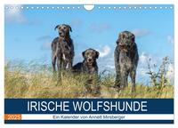 Irische Wolfshunde (Wandkalender 2025 DIN A4 quer), CALVENDO Monatskalender