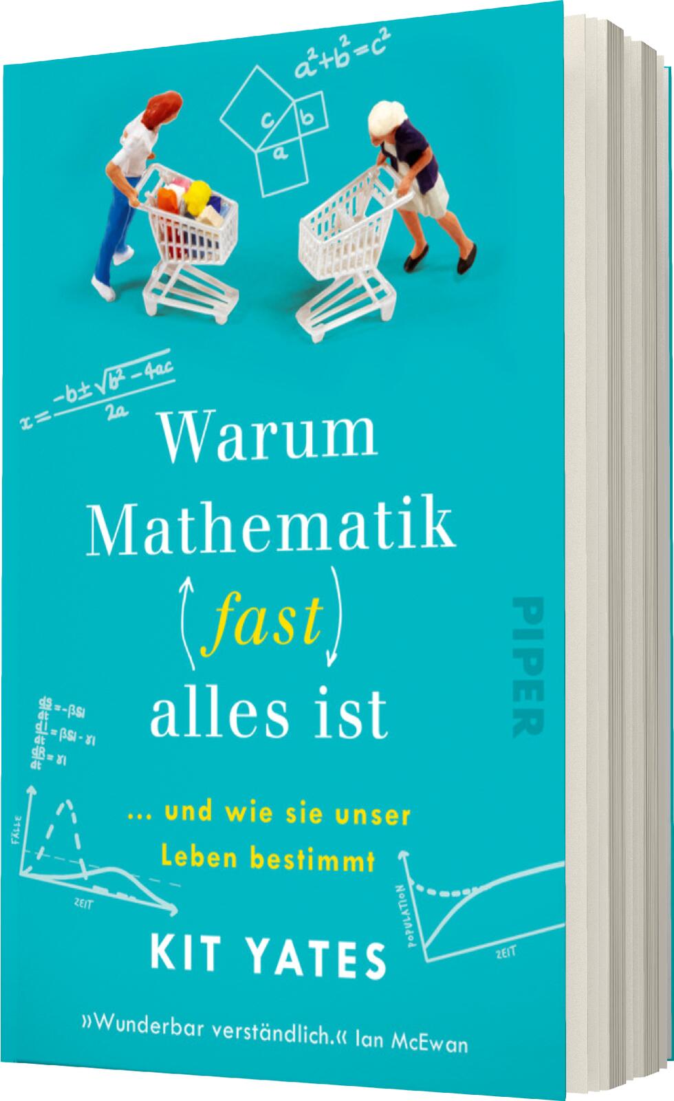 Warum Mathematik (fast) alles ist