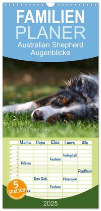 Familienplaner 2025 - Australian Shepherd - Augenblicke mit 5 Spalten (Wandkalender, 21 x 45 cm) CALVENDO