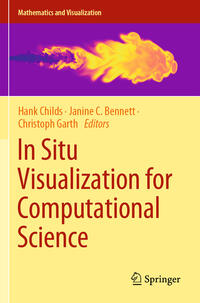 In Situ Visualization for Computational Science