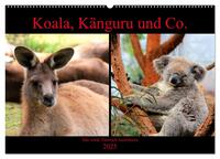 Koala, Känguru und Co. – Das wilde Tierreich Australiens (Wandkalender 2025 DIN A2 quer), CALVENDO Monatskalender