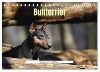 Bullterrier, liebenswerte Sturköpfe (Tischkalender 2025 DIN A5 quer), CALVENDO Monatskalender