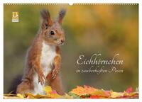 Eichhörnchen in zauberhaften Posen (Wandkalender 2025 DIN A2 quer), CALVENDO Monatskalender