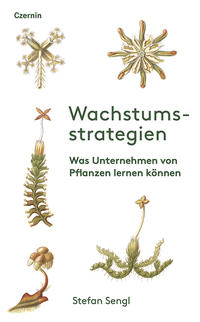 Wachstumsstrategien