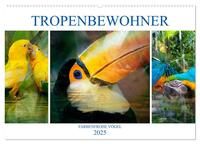 Tropenbewohner - farbenfrohe Vögel (Wandkalender 2025 DIN A2 quer), CALVENDO Monatskalender