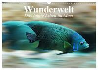 Wunderwelt. Das bunte Leben im Meer (Wandkalender 2025 DIN A3 quer), CALVENDO Monatskalender