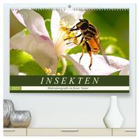 INSEKTEN - Makrofotografie in freier Natur (hochwertiger Premium Wandkalender 2025 DIN A2 quer), Kunstdruck in Hochglanz