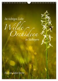 Im richtigen Licht: Wilde Orchideen in Südbayern (Wandkalender 2025 DIN A3 hoch), CALVENDO Monatskalender