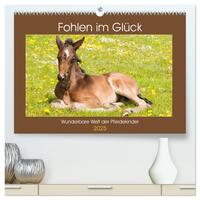 Fohlen im Glück - Wunderbare Welt der Pferdekinder (hochwertiger Premium Wandkalender 2025 DIN A2 quer), Kunstdruck in Hochglanz