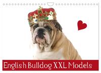 English Bulldog XXL Models (Wandkalender 2025 DIN A4 quer), CALVENDO Monatskalender